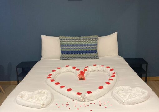 Twin/Double Room